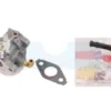 Carburateur Pour Moteur Briggs & Stratton (798653)