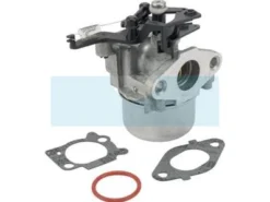Carburateur Pour Moteur Briggs & Stratton (799479)
