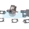 Carburateur Pour Moteur Briggs & Stratton (790120)
