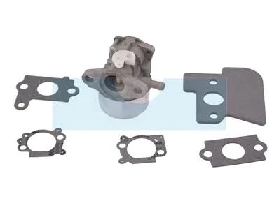 Carburateur Pour Moteur Briggs & Stratton (790120) 1 Carburateur Pour Moteur Briggs & Stratton (790120)