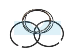 Kit Segment Pour Moteur Honda (13010ZG0003)