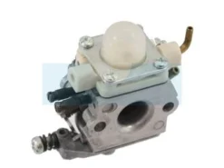 Carburateur Pour Echo (12520008662)