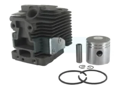 Kit Cylindre Piston Pour Kawasaki (110050646)