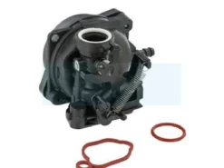 Carburateur Pour Moteur Briggs & Stratton (591109)
