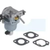 Carburateur Pour Moteur Briggs & Stratton (699807)
