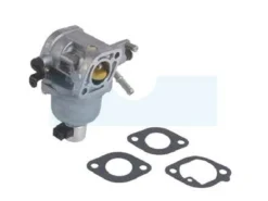 Carburateur Pour Moteur Briggs & Stratton (699807)