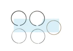 Kit Segment Pour Moteur Briggs & Stratton (791969)