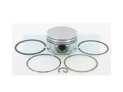 Piston Pour Moteur Briggs & Stratton (795430)