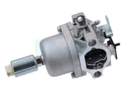 Carburateur Pour Moteur Briggs & Stratton (593433)