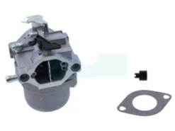 Carburateur Pour Moteur Briggs & Stratton (699831)