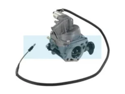 Carburateur Pour Moteur Honda (16100ZJ1843)