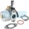 Carburateur Pour Moteur Briggs & Stratton (591137)