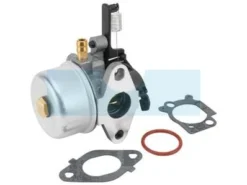 Carburateur Pour Moteur Briggs & Stratton (591137)