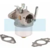 Carburateur Pour Moteur Briggs & Stratton (594015)