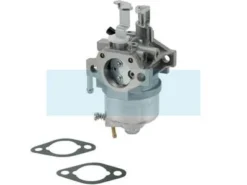 Carburateur Pour Moteur Briggs & Stratton (715475)