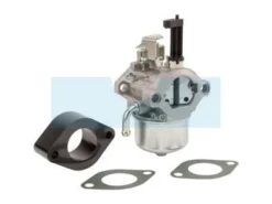Carburateur Pour Moteur Briggs & Stratton (715782)