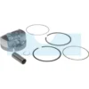 Piston Pour Moteur Briggs & Stratton (795858)