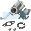 Carburateur Pour Moteur Briggs & Stratton (796447)