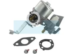 Carburateur Pour Moteur Briggs & Stratton (796447)