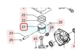 Piston Pour Maruyama (273155)